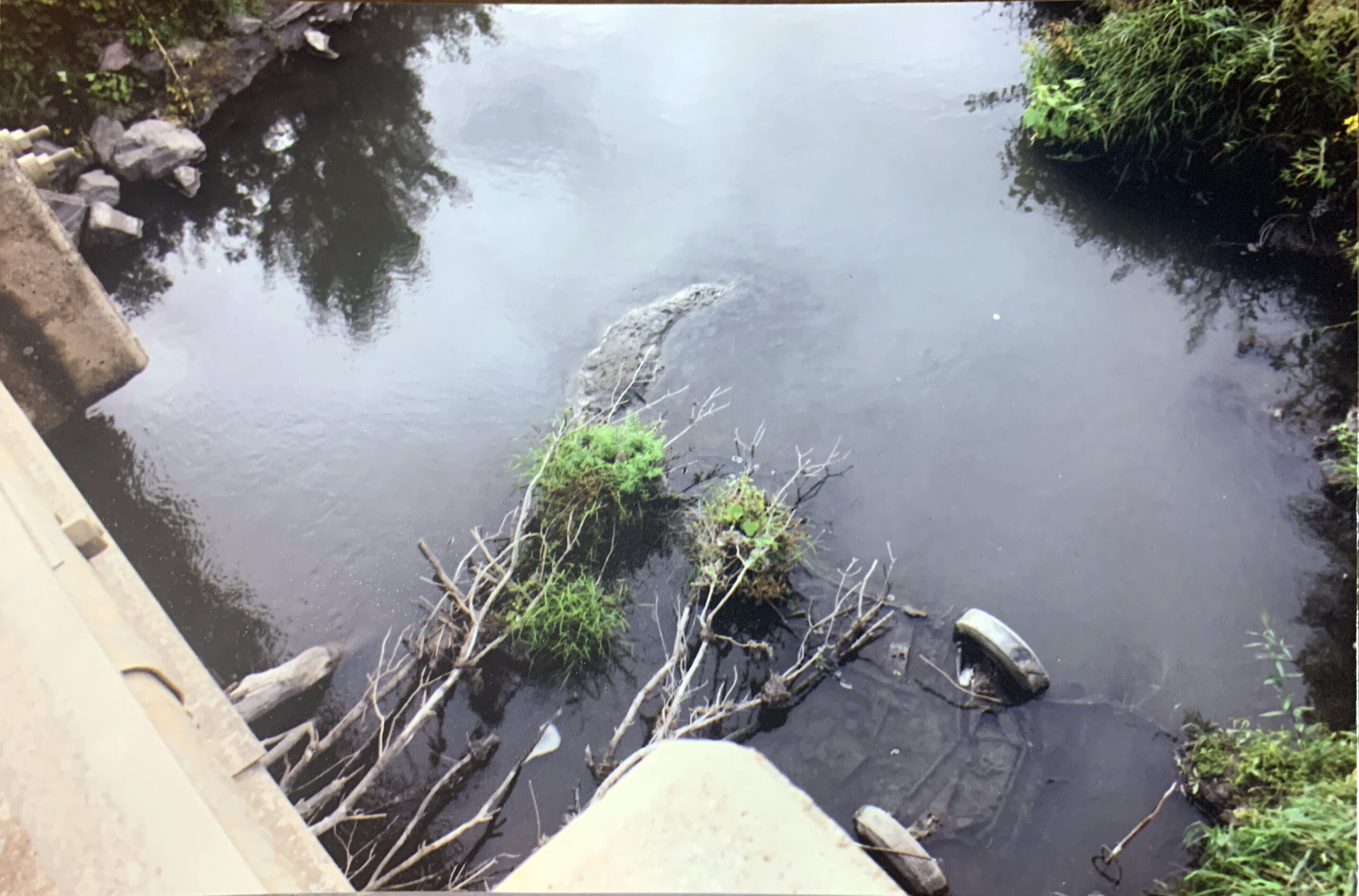 You are currently viewing The Studebaker discovery
